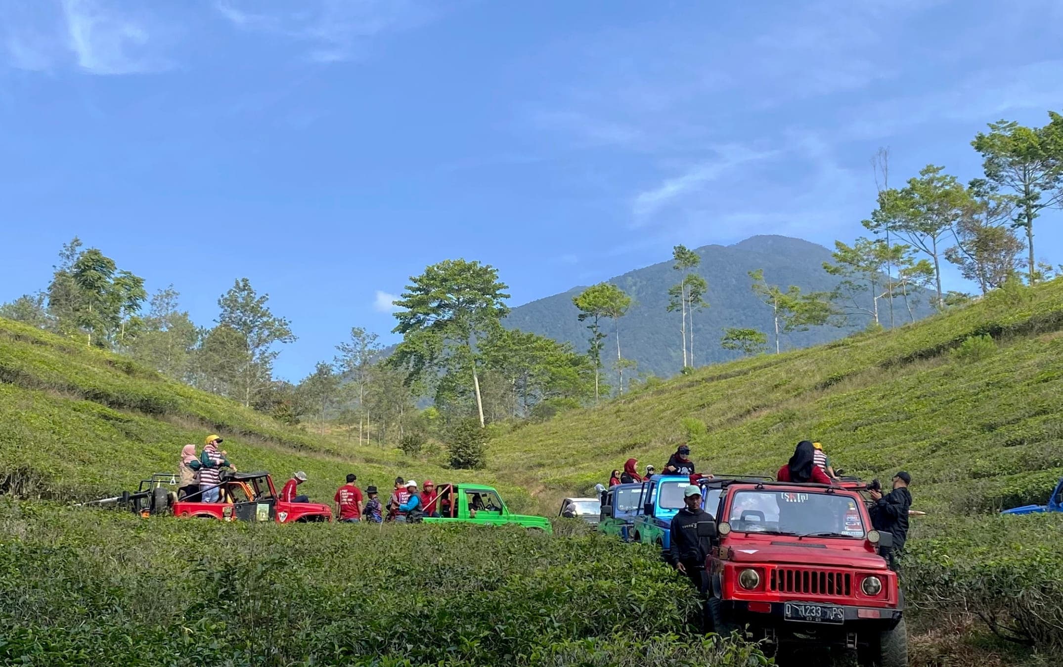 Pemandangan hamparan hijau dan gunung dari belakang Jeep